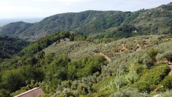 Image No.11-3 Bed House for sale