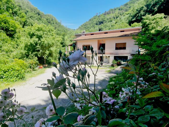 Image No.3-3 Bed House for sale