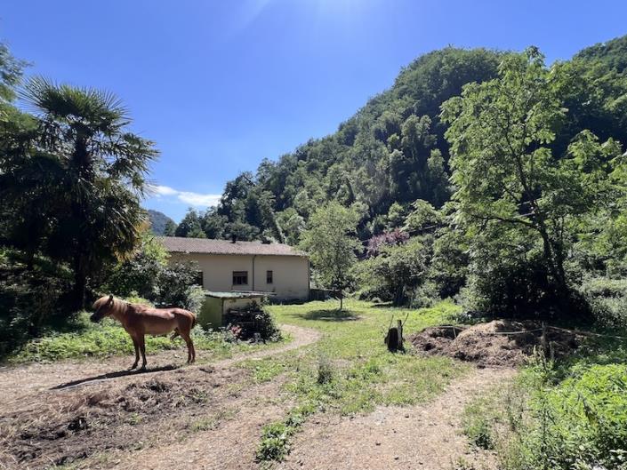 Image No.10-3 Bed House for sale