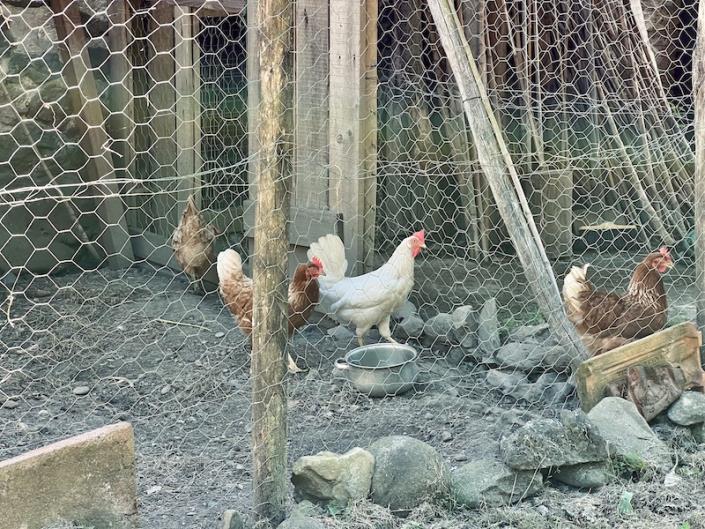 Image No.35-2 Bed House for sale