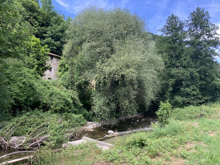 Image No.5-2 Bed Country House for sale