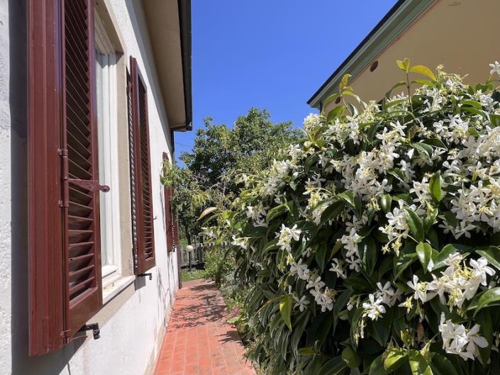 Image No.5-4 Bed House/Villa for sale