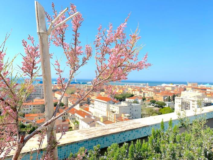 Image No.17-2 Bed Apartment for sale