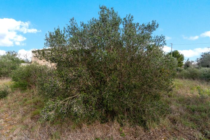 Image No.9-Country Property for sale