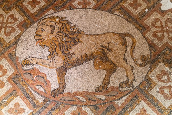 Image No.6-8 Bed Mansion for sale