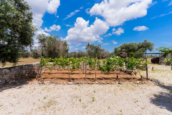 Image No.21-5 Bed Villa / Detached for sale