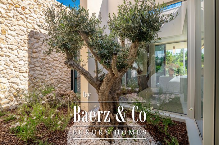 Image No.22-3 Bed House for sale