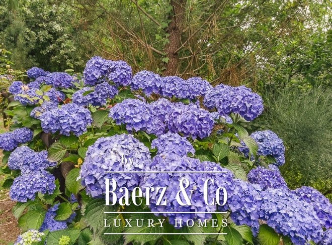 Image No.21-4 Bed House for sale