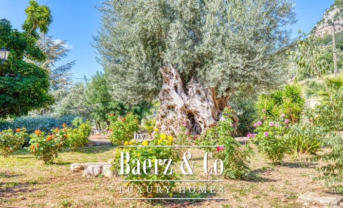 Image No.14-5 Bed Villa for sale