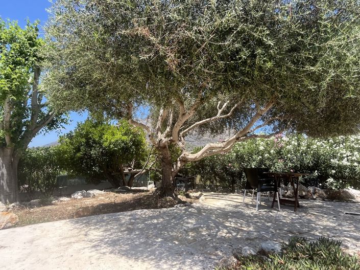 Image No.17-5 Bed Villa for sale