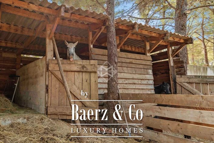 Image No.20-7 Bed Villa for sale