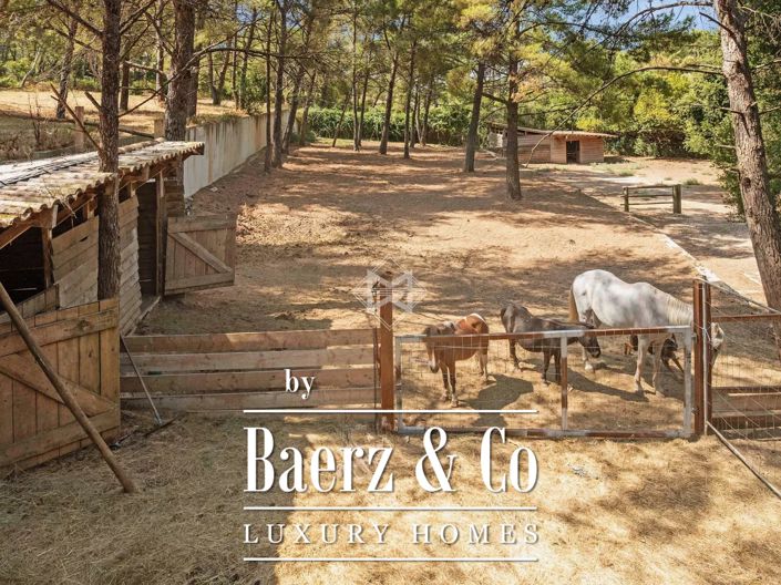 Image No.4-7 Bed Villa for sale