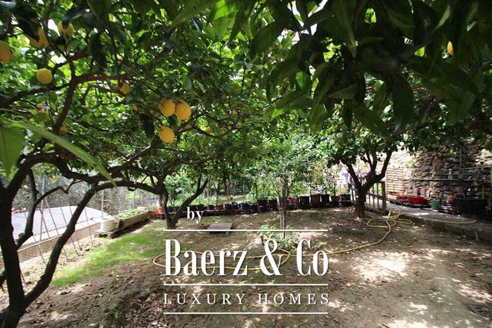 Image No.7-12 Bed Property for sale