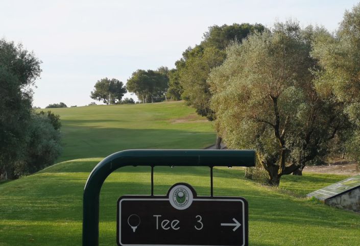 Image No.36-3 Bed Villa for sale