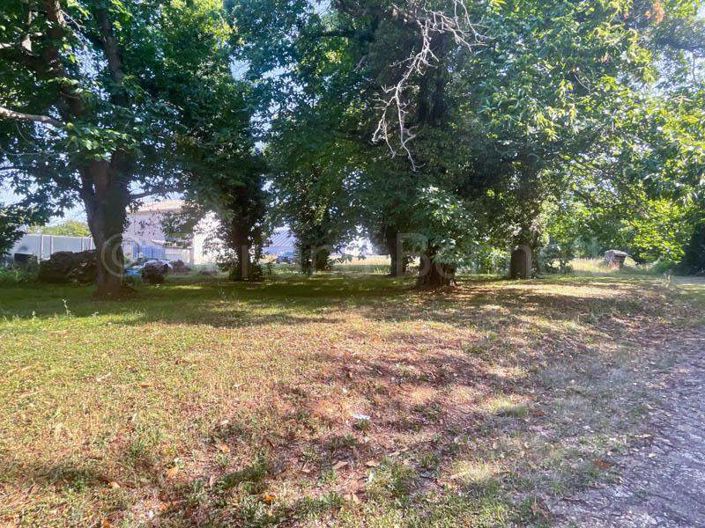 Image No.22-3 Bed House for sale