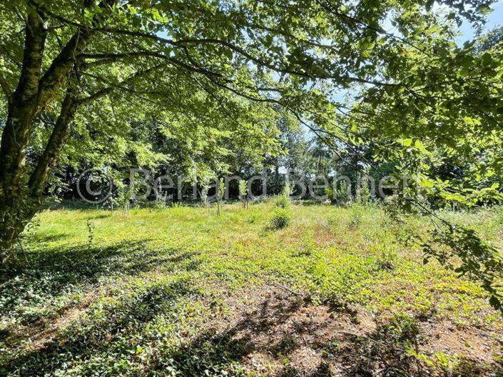 Image No.21-4 Bed House for sale