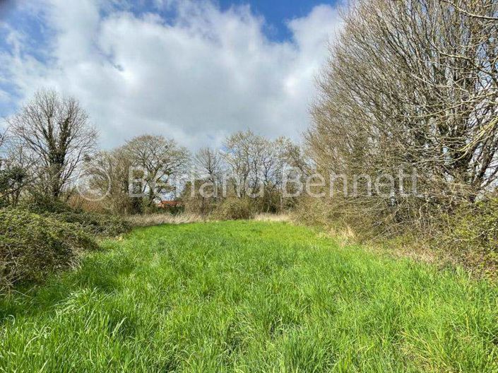 Image No.1-Land for sale