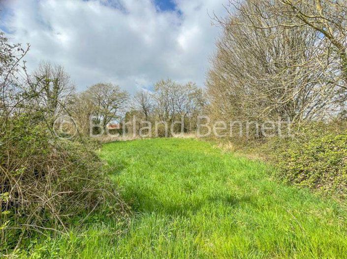 Image No.2-Land for sale