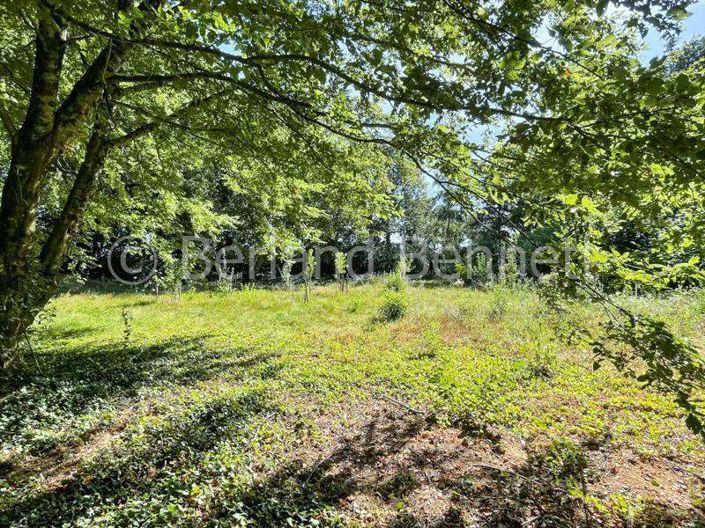 Image No.23-4 Bed House for sale