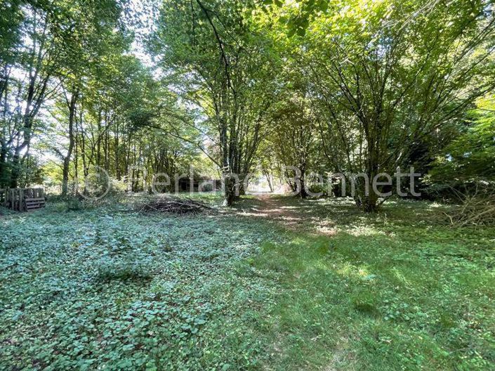 Image No.24-4 Bed House for sale