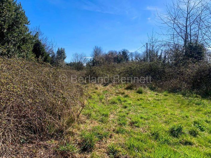 Image No.6-House for sale