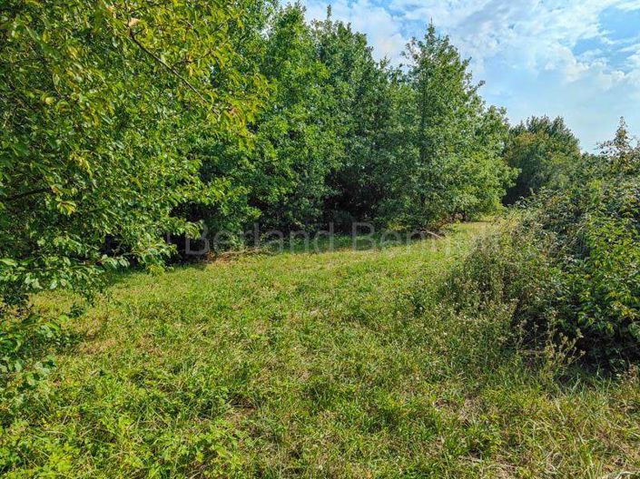 Image No.5-House for sale