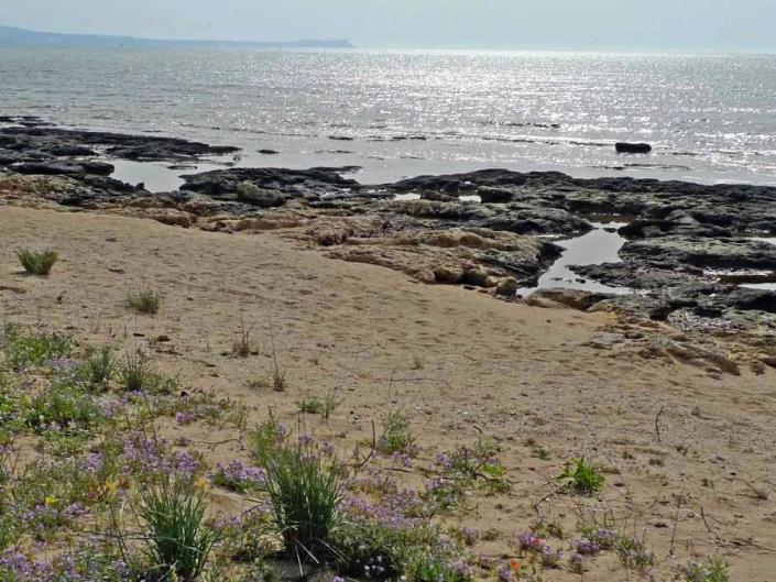 Image No.19-4 Bed Villa / Detached for sale