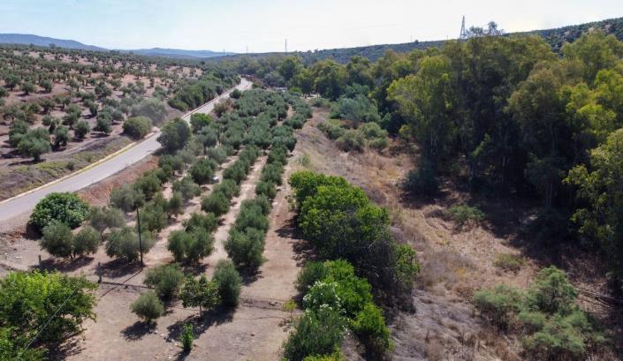 Image No.19-3 Bed Country House for sale