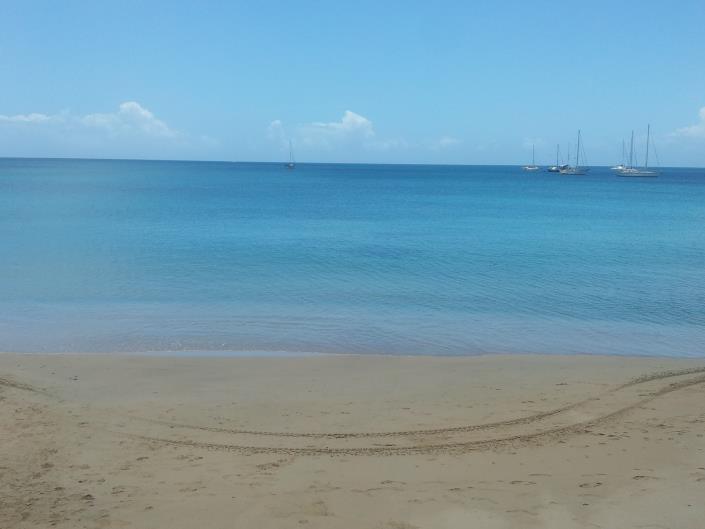 Image No.48-6 Bed House for sale