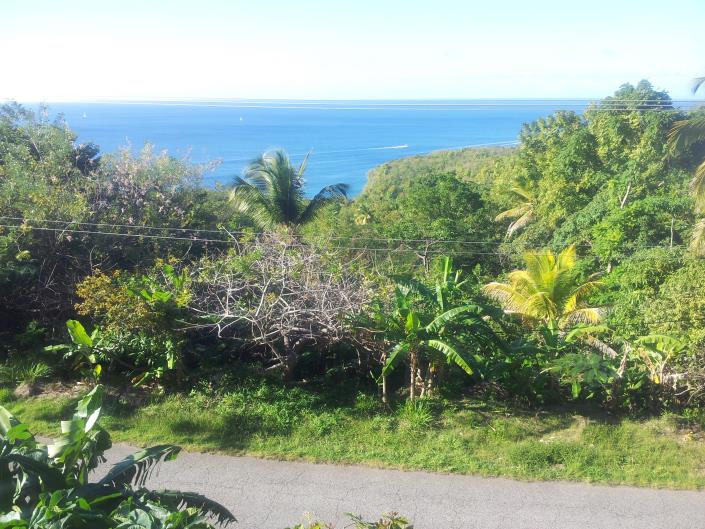 Image No.30-6 Bed House for sale