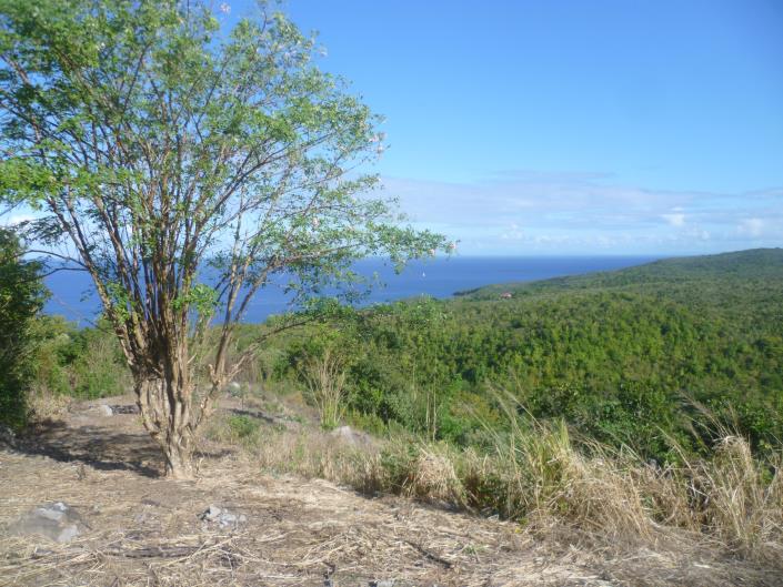 Image No.34-6 Bed House for sale