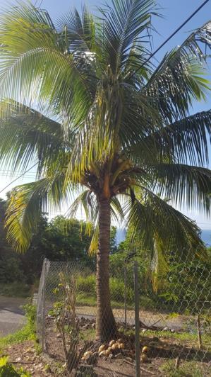 Image No.45-6 Bed House for sale