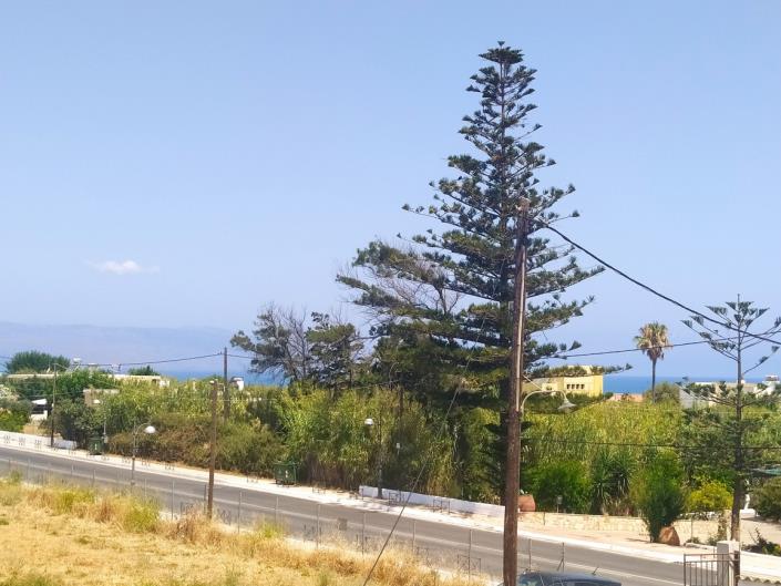 Image No.19-2 Bed House for sale