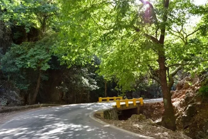 Image No.6-3 Bed Villa for sale