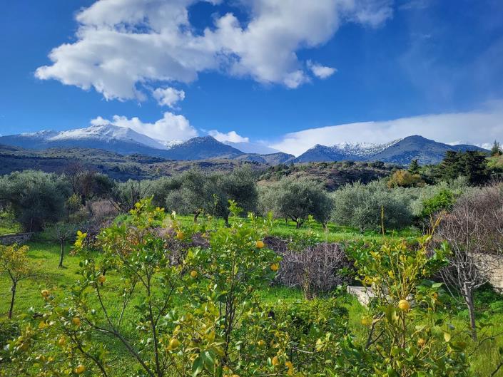 Image No.51-6 Bed House for sale