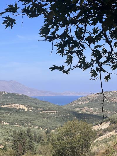 Image No.31-3 Bed House for sale