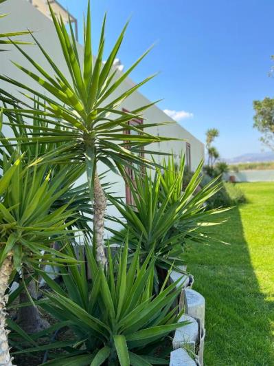 Image No.21-3 Bed Villa for sale