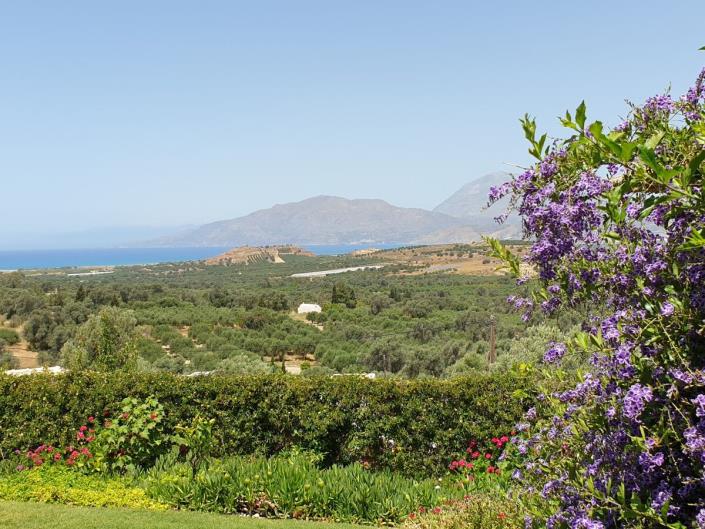 Image No.3-2 Bed Villa for sale