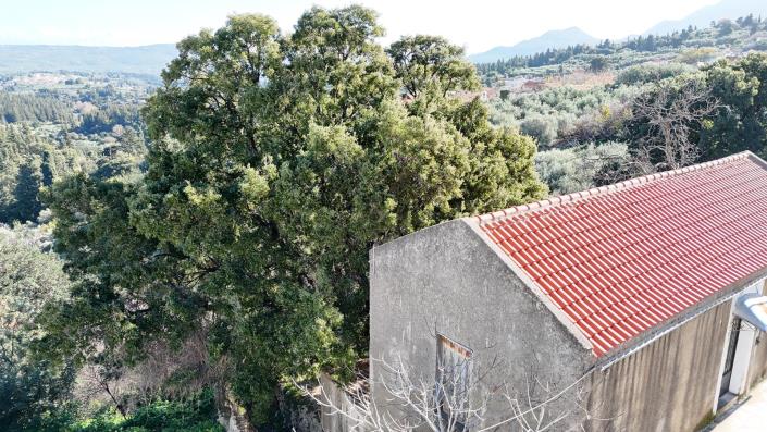 Image No.8-2 Bed House for sale