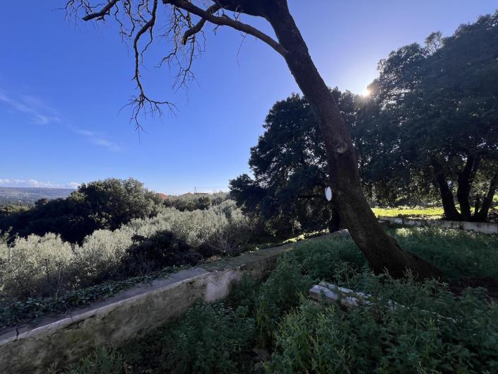 Image No.13-2 Bed House for sale