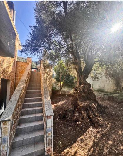 Image No.15-3 Bed House for sale