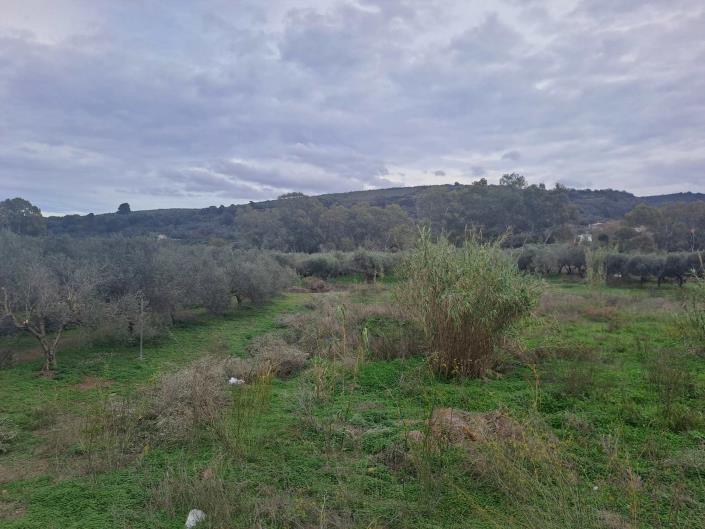 Image No.10-5 Bed Villa for sale