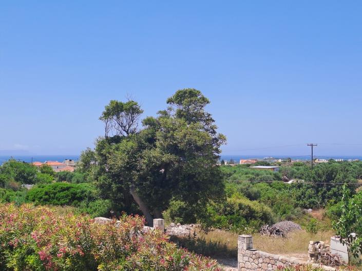 Image No.26-3 Bed Villa for sale