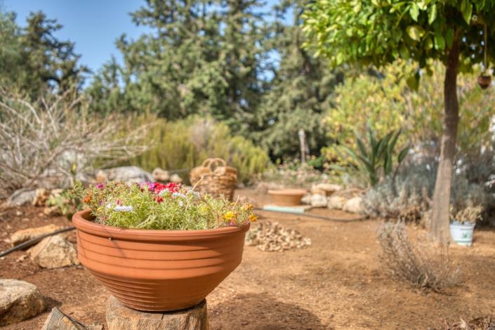 Image No.10-3 Bed Villa for sale