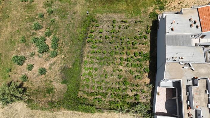 Image No.11-Land for sale