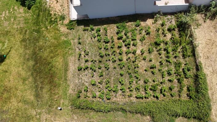 Image No.12-Land for sale