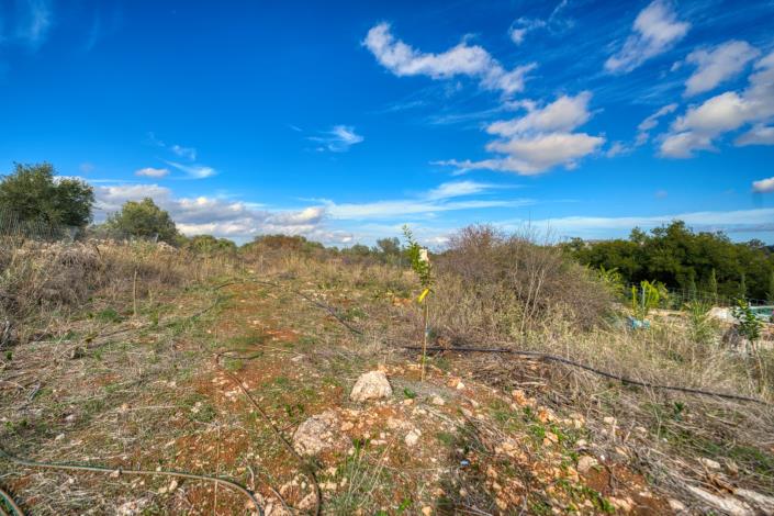 Image No.15-2 Bed Villa for sale