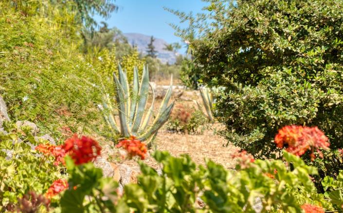 Image No.5-4 Bed Villa for sale