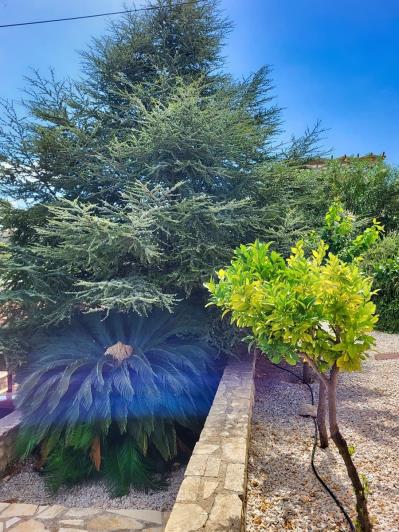 Image No.28-4 Bed Villa for sale