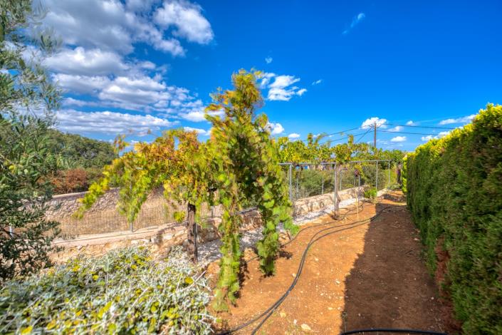 Image No.51-3 Bed Villa for sale